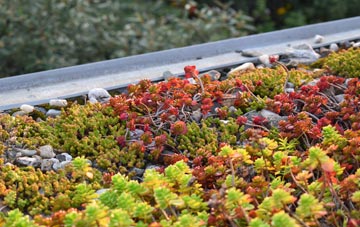 the cost of Higham On The Hill green roof installation